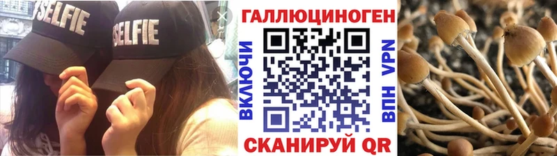 Псилоцибиновые грибы GOLDEN TEACHER дарк нет формула Белово
